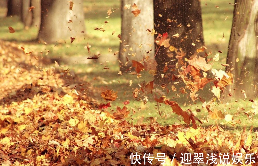 有这些“特征”的人不适合养花,一般养一盆死一盆