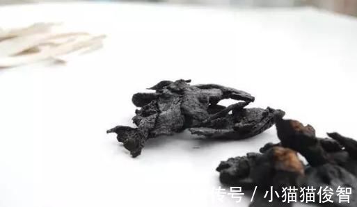 泡水|枸杞加1物，坚持泡水喝，补足肾气身体壮，肝也悄悄变好！