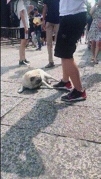 |搞笑GIF趣图：夫妻相相似度百分之九十九，好幸福哦