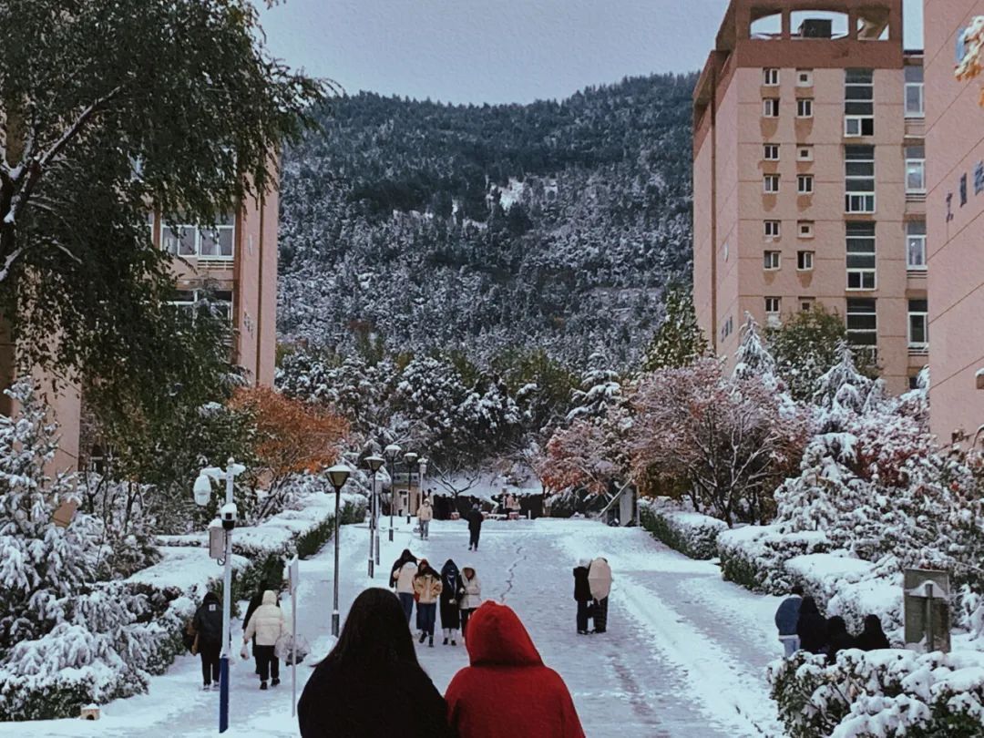 初雪|定格·山东商院的初雪