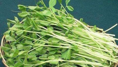 爱美的女性不妨多吃以下食物，清热解毒，减少雀斑，改善肤色