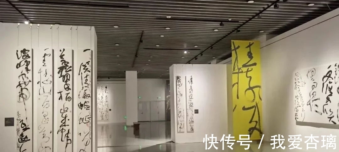 草书&刘洪彪草书的“套种”成“万殊一相”最大亮点,风格突变耳目一新