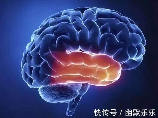 低密度脂蛋白|脑梗的“祸根”找到了,医生直言3种家常菜,伤脑更“要命”