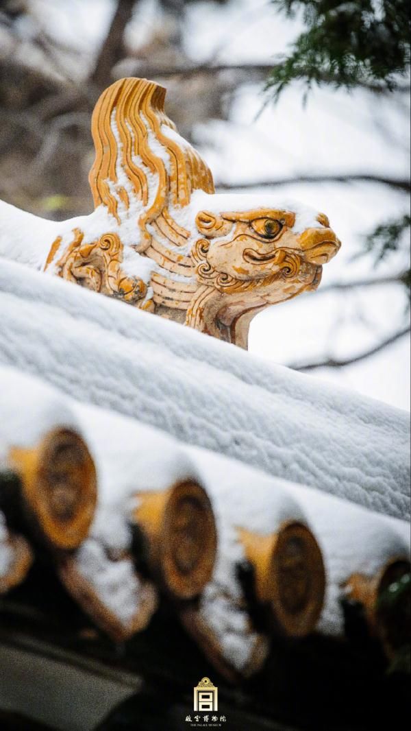 故宫雪景大片，上新了！