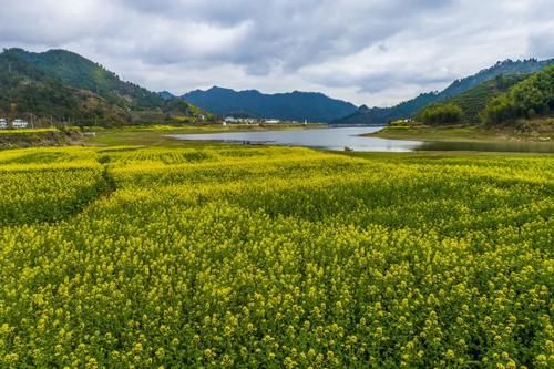 别赶着人潮去太子湾了，杭州还有一处“秘密后花园”，人少花更野！