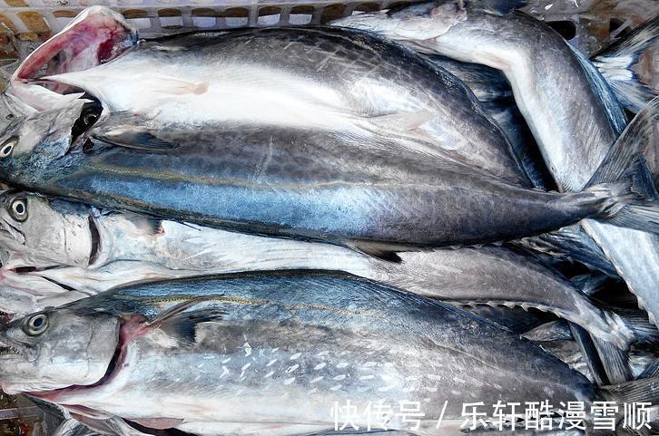 多宝鱼|中秋家宴,把这5种海鱼端上餐桌,营养高价格低,待客也倍有面子