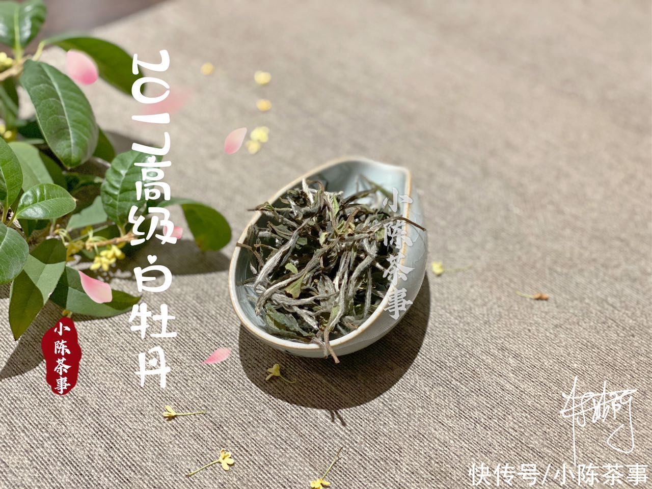 香气|不同类型的白茶之间，香气口感滋味有什么不同？一次性为你讲明白