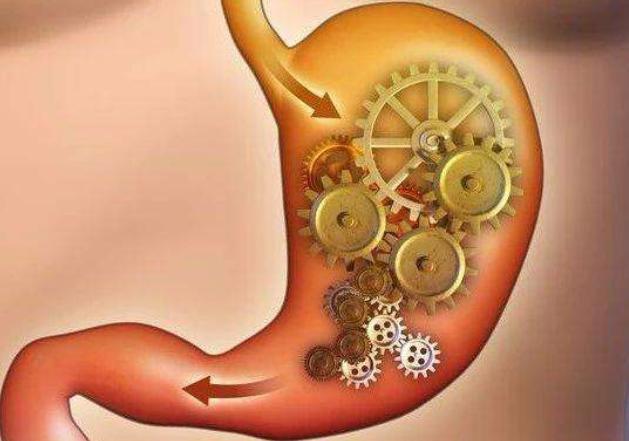 医生|明明没有减肥,体重却下降了,医生,可能无意做对了这3件事