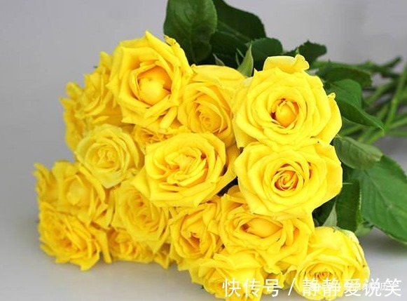 此花风姿绰约，自带一种金玉的尊贵和女性的馨香，代表着已逝的爱