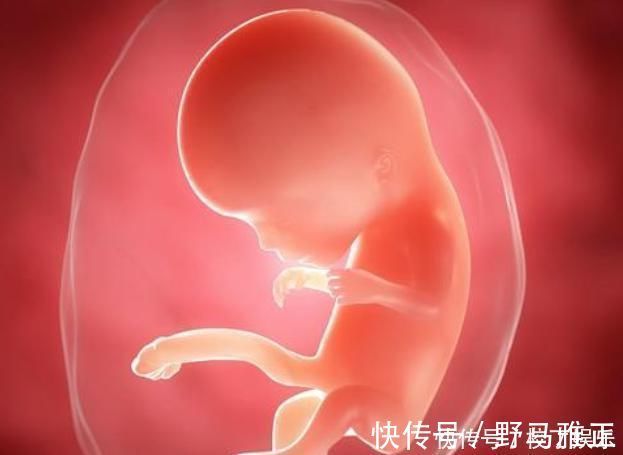 生物钟|胎儿每月都有在发育,这5个成长“关键期”,错过就补不回来了