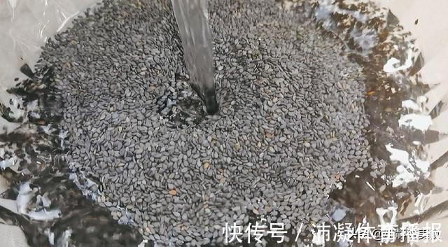 养生|96岁老中医分享的黑芝麻养生吃法,做一次吃半个月,太实用了