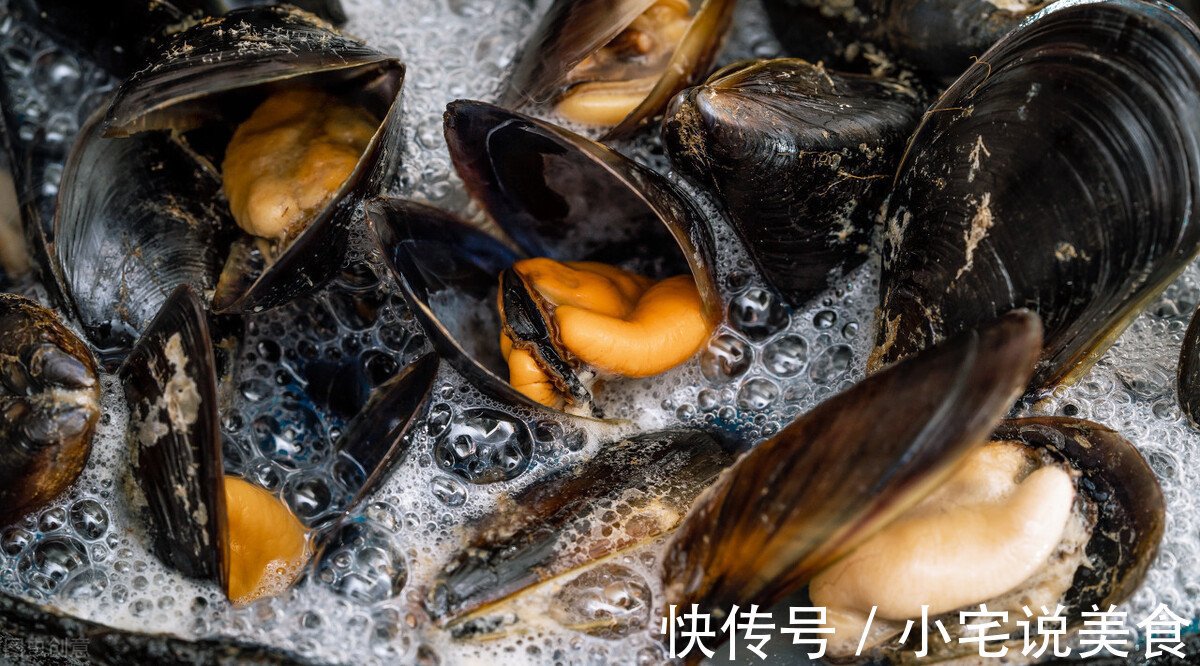 听名字误以为是蔬菜，被称“海中鸡蛋”，比鱼虾营养，比生蚝鲜美