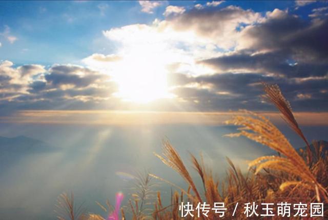 告诫&曾国藩:人败皆因懒,事败皆因傲,家败皆因奢