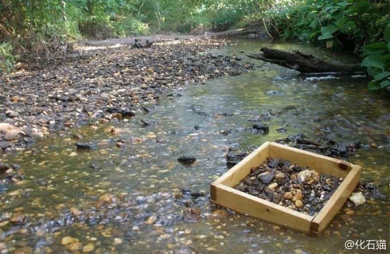 河沙才是养花万能土,家里的花,从不烂根、不黄叶