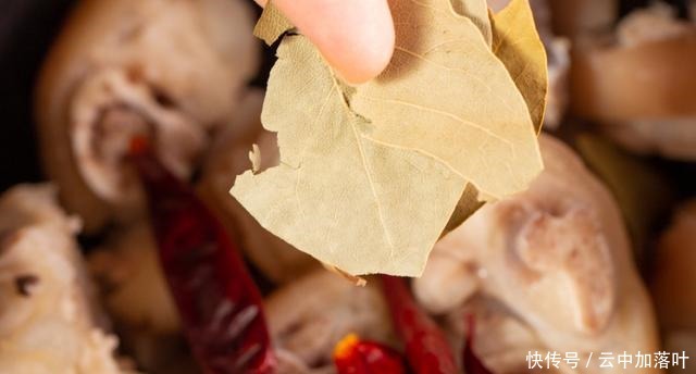 好吃到,笑出猪叫声的电饭煲菜,电饭煲焖猪蹄来了!