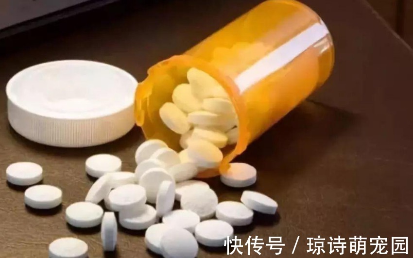 别花钱买生根水给植物泡了，拿这些代替，既有趣又实用