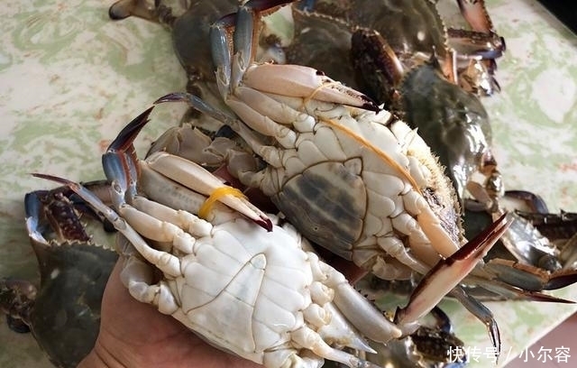 螃蟹|蒸螃蟹时,加葱加姜都不对!多加这2步,螃蟹不流黄不断腿,香
