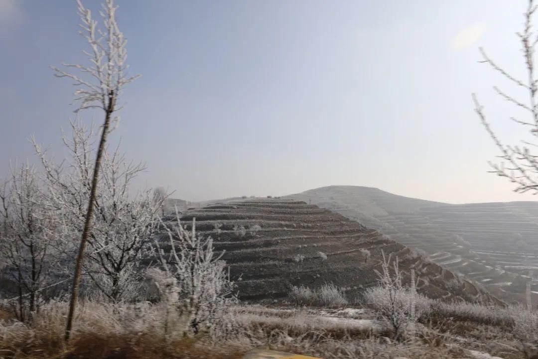 山湾|会宁：最好的风景在山湾里