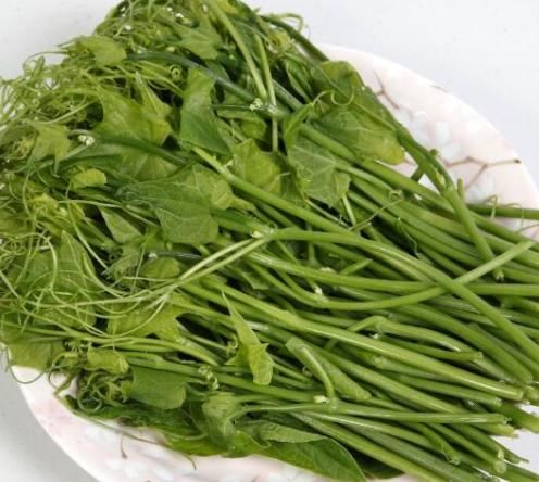 龙须菜|秋季女性不想变老，建议吃三种食物，营养丰富、去燥