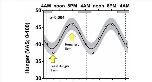 效果|不吃早餐和不吃晚餐,哪个效果更好?