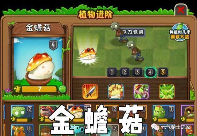 攻击|植物大战僵尸稀有却十分强力的4种植物，能获得一棵就堪比欧皇