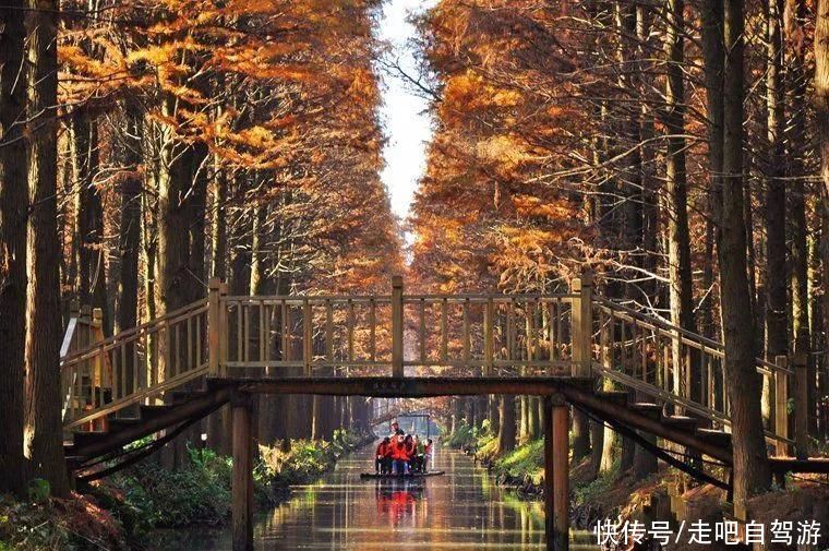 1月最佳旅行地推荐，真正最值得去的景点，人少景美千万别错过