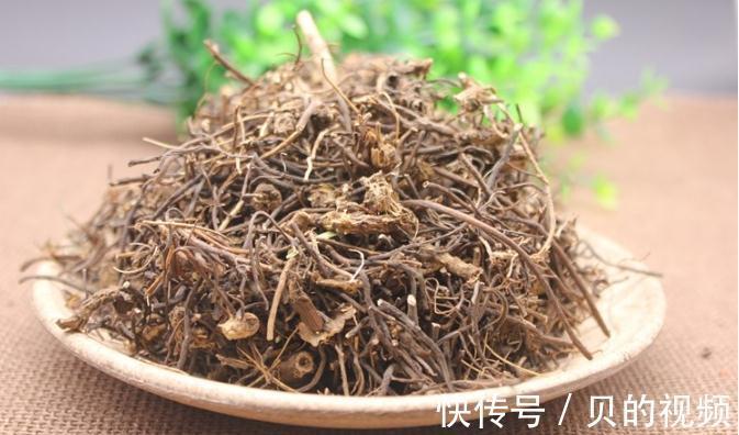 鸡血藤|关节老是痛，还痛无定痛？一个方子给你搞定骨子的风，寒，湿