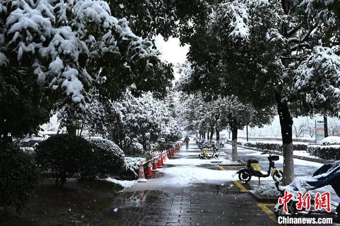 赵阳|浙江杭州迎大雪天 已启动抗雪防冻应急响应