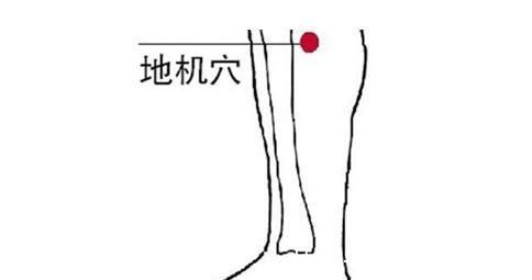 三阴交穴|脾，后天之本！老中医带你品味人体脾经大药！补脾通络，胜吃补药