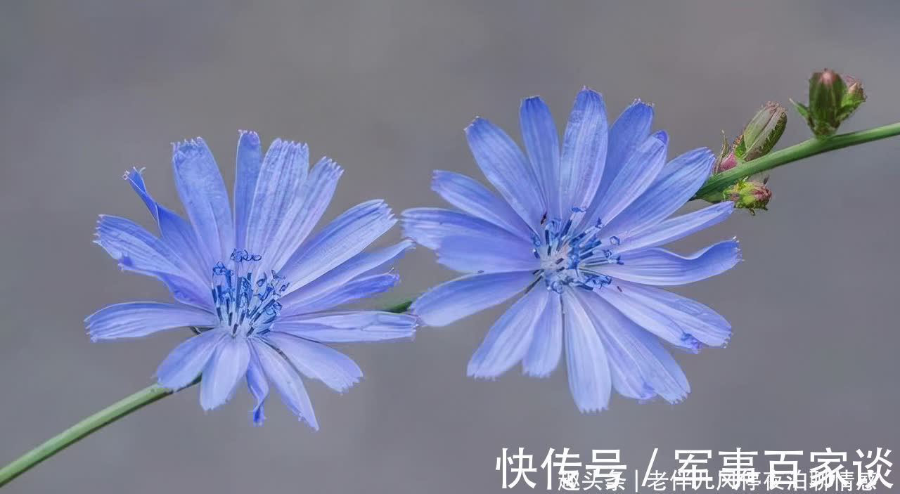 心态|熬过人生4大坎,必成大器!早懂早受益