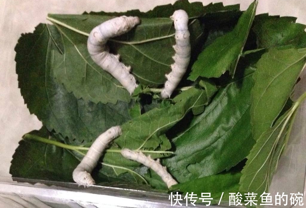 老百姓#5首绝妙好诗,体现古代穷苦百姓生活,文采飞扬