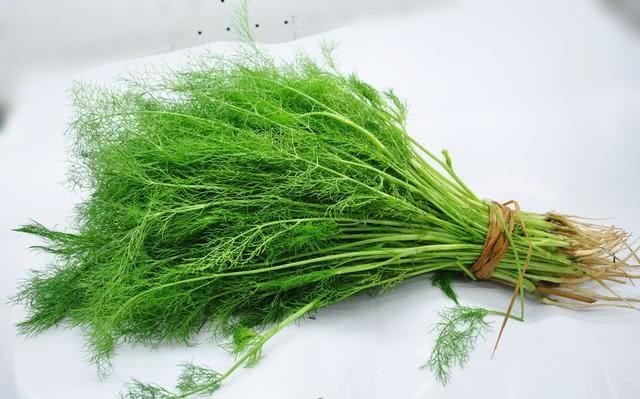 小茴香|小茴香的丝路之旅:一碗水盆羊肉里的汉朝气象