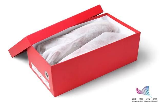 鞋盒里的白布纸原来有这么多用处，今天才知道