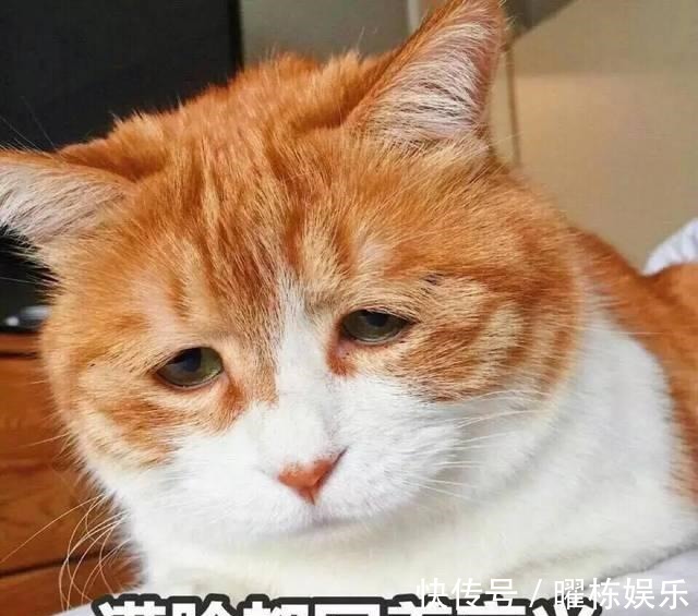 |幽默笑话:新婚没几天,今天媳妇突然对我大吵大闹