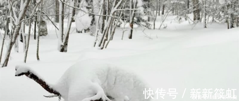白居易#白居易很有趣的一首咏雪诗,看到皑皑白雪,引发了他对人生的思考