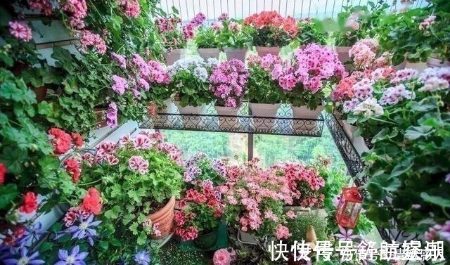 7㎡迷你“阳台造园”小阳台这样布置,也能美成的花园!