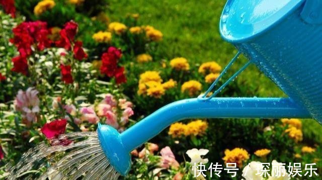 小动作|浇水前做个“小动作”,养花从来不烂根,个个猛开花,刹不住闸