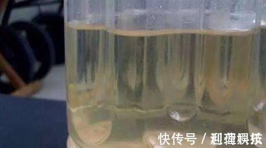 鸡蛋壳|养君子兰,喂上两个“蛋”,叶片壮实像白菜,花朵蹭蹭蹿