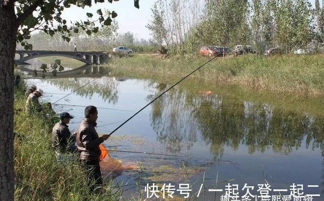 水温|冬钓鲫鱼四大要诀，套路比技巧重要，熟练掌握后大板鲫轻松上钩