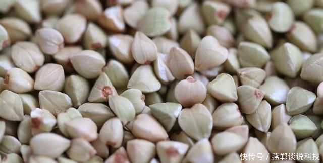 燃脂|女性看过来身高152-176标准体重表已公布，其实你用不着减肥