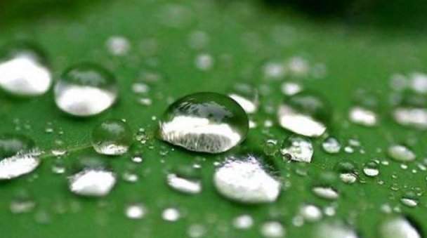 勤劳|一个家庭走向兴旺的4个征兆，你家若有一个，就要恭喜了