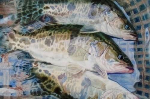 内行人|买鱼时,内行人从不买这5种鱼,浪费钱还没营养,老板自己都不吃