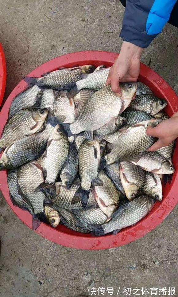 鲫鱼|秋季钓大鲫鱼攻略，找准它们活跃的地方，常规饵料即可