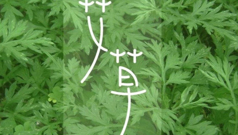 润肠通便|担心老太快,建议吃4种食物,润肠通便,排毒清脂,提高免疫力!