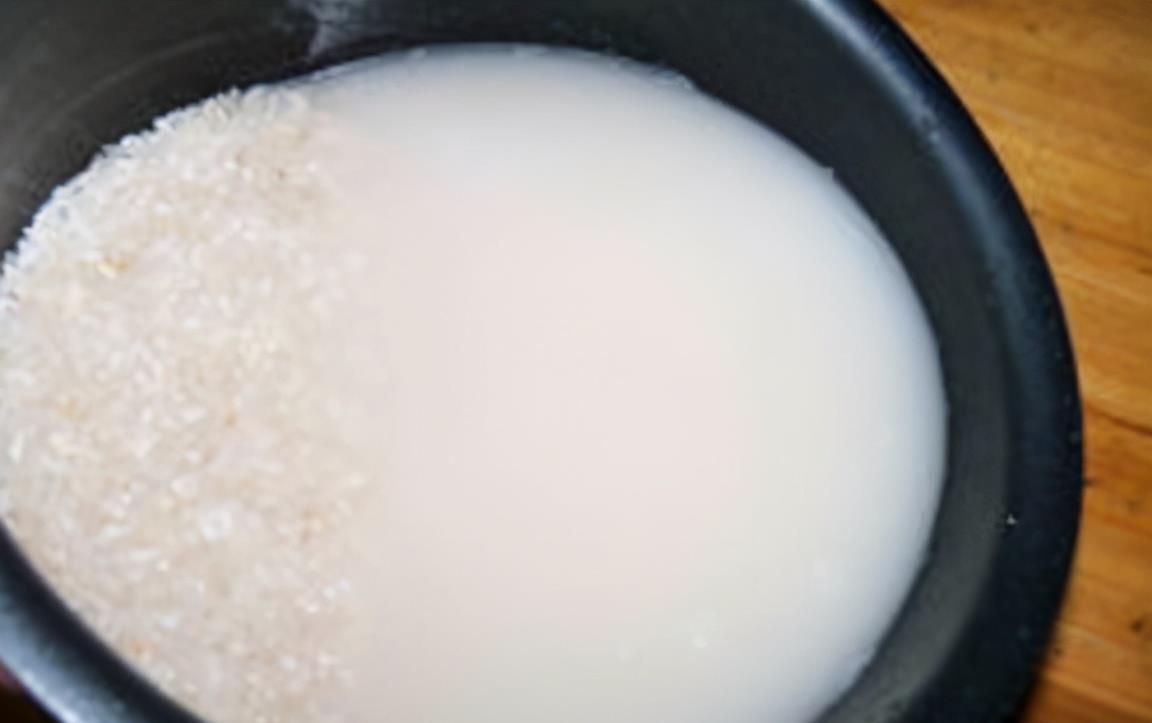 羊粪、过期牛奶养花,用好了,植物长得壮、土壤肥力十足