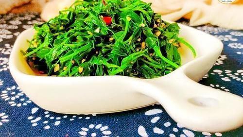 陈醋|“头茬赛人参”,此菜春季吃正当时,清香鲜嫩,营养美味