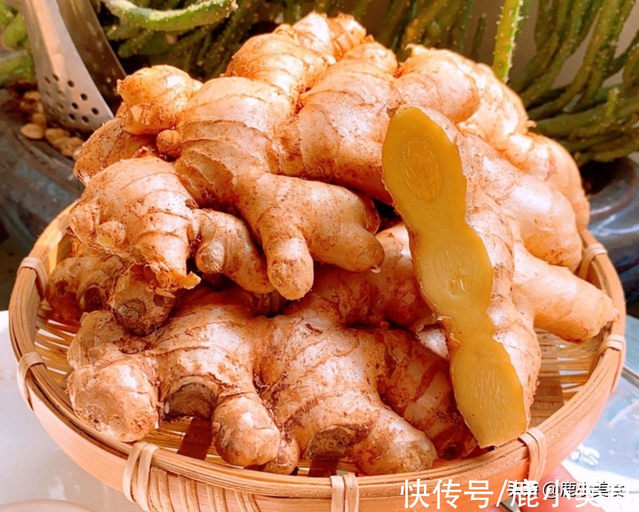 时令|白露时节,要记住少吃瓜和姜、多吃2物!吃不对,小心伤脾又伤胃