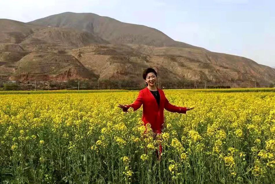 武山文苑：请您到我家乡来，油菜花海等着您