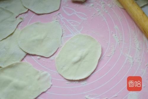  腊月必吃这个馅的饺子！比韭菜香比猪肉鲜，爽嫩开胃吃2盘都不够