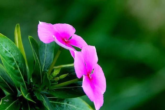  舒服|没病却觉得不舒服是为什么？